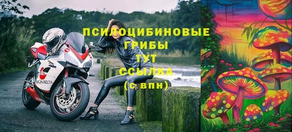 гидропоника Нязепетровск