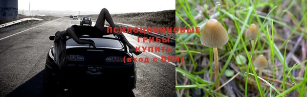 гидропоника Нязепетровск