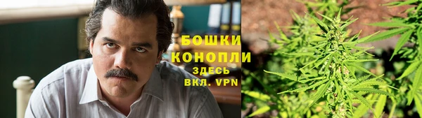не бодяженный Няндома