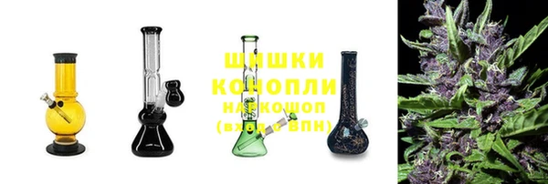 гидропоника Нязепетровск