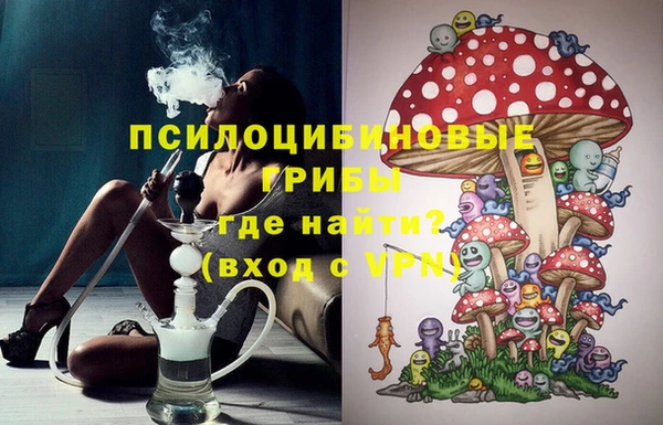не бодяженный Няндома