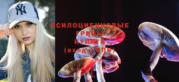 не бодяженный Няндома