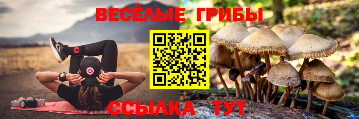 Советская Гавань  Псилоцибиновые грибы Cubensis  Вход с VPN 